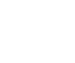 Business-Internet-icon